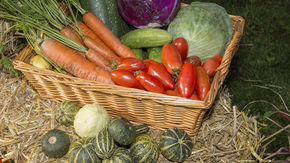 Erntedank